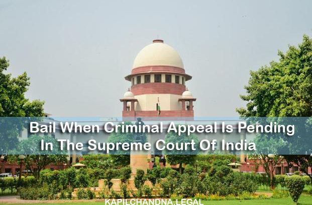 Bail When Criminal Appeal Is Pending In The Supreme Court Of India